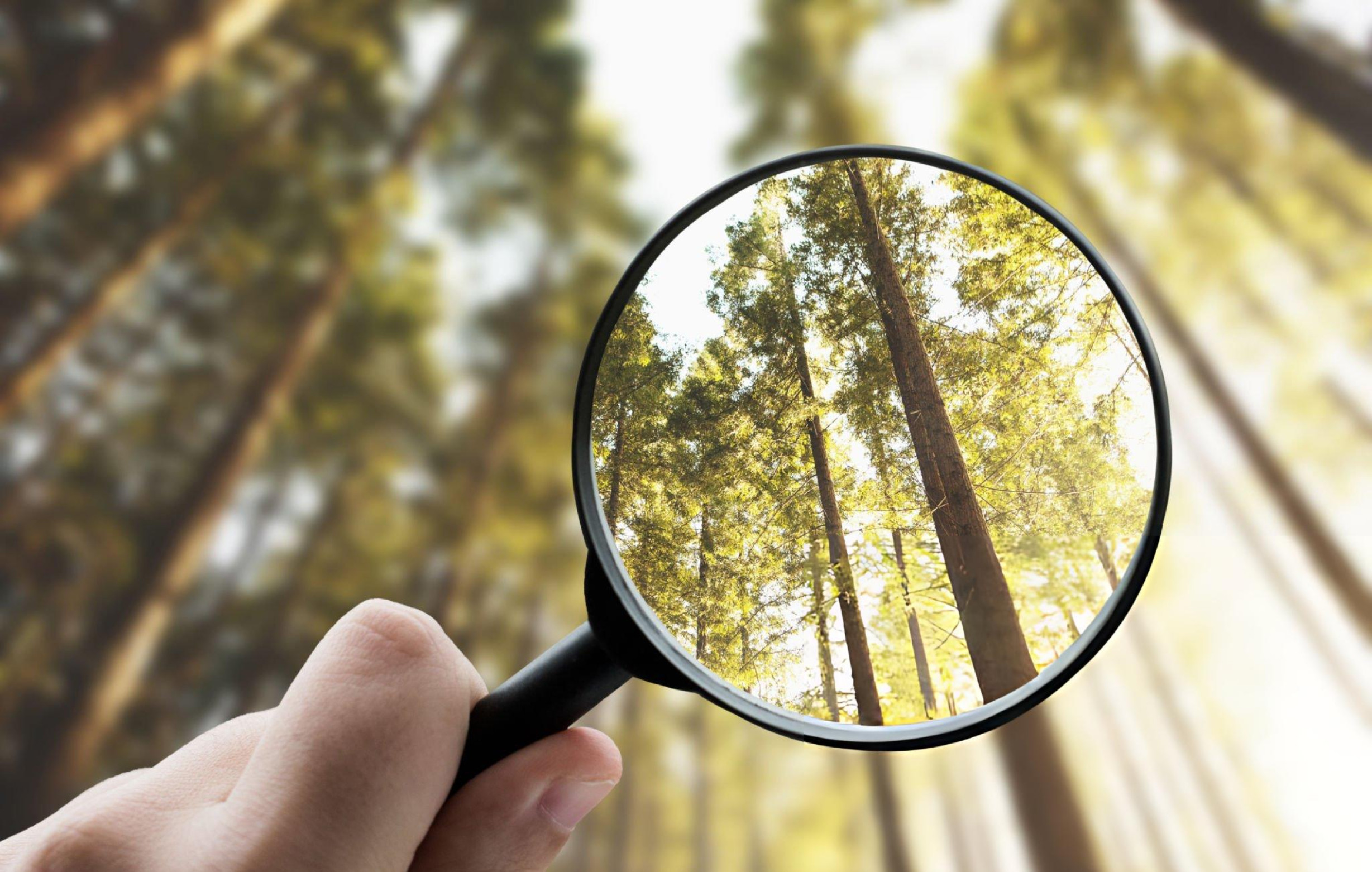 İnsana ve çevreye değer görseli.