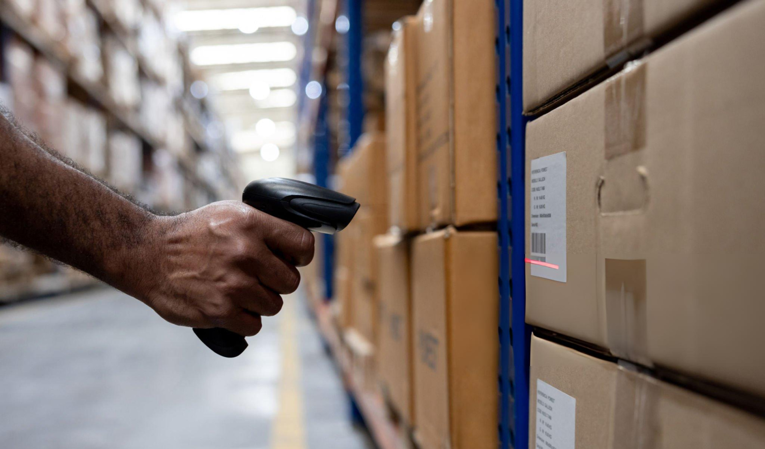 Net Koordinasyon görseli